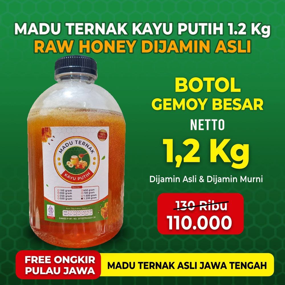 photo_2025-12-16_14-03-23